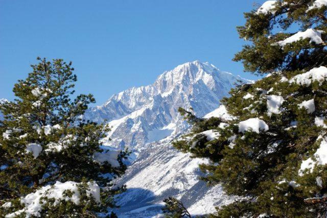 Appartamento Monte Bianco Ла-Саль Экстерьер фото
